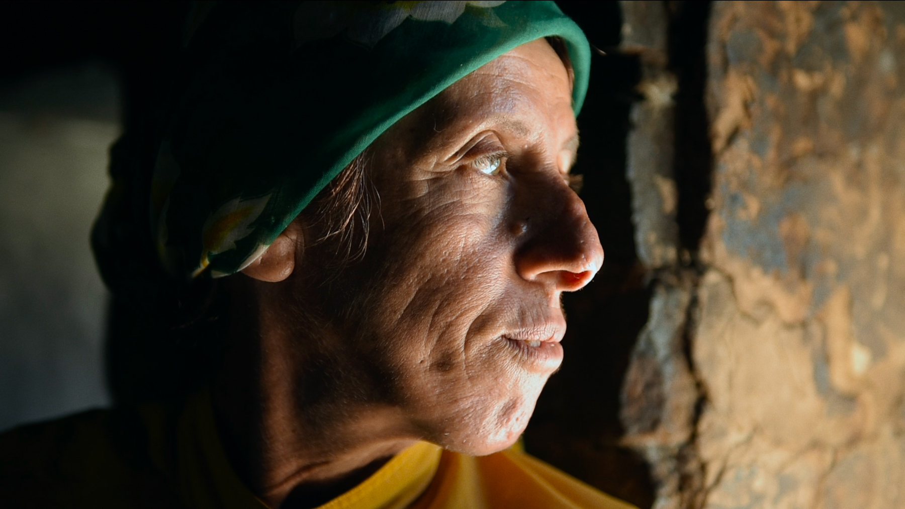 Hatidze Muratova, said to be the last wild beekeeper in Europe, looking out of a window